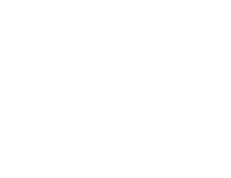 Next Level Agency